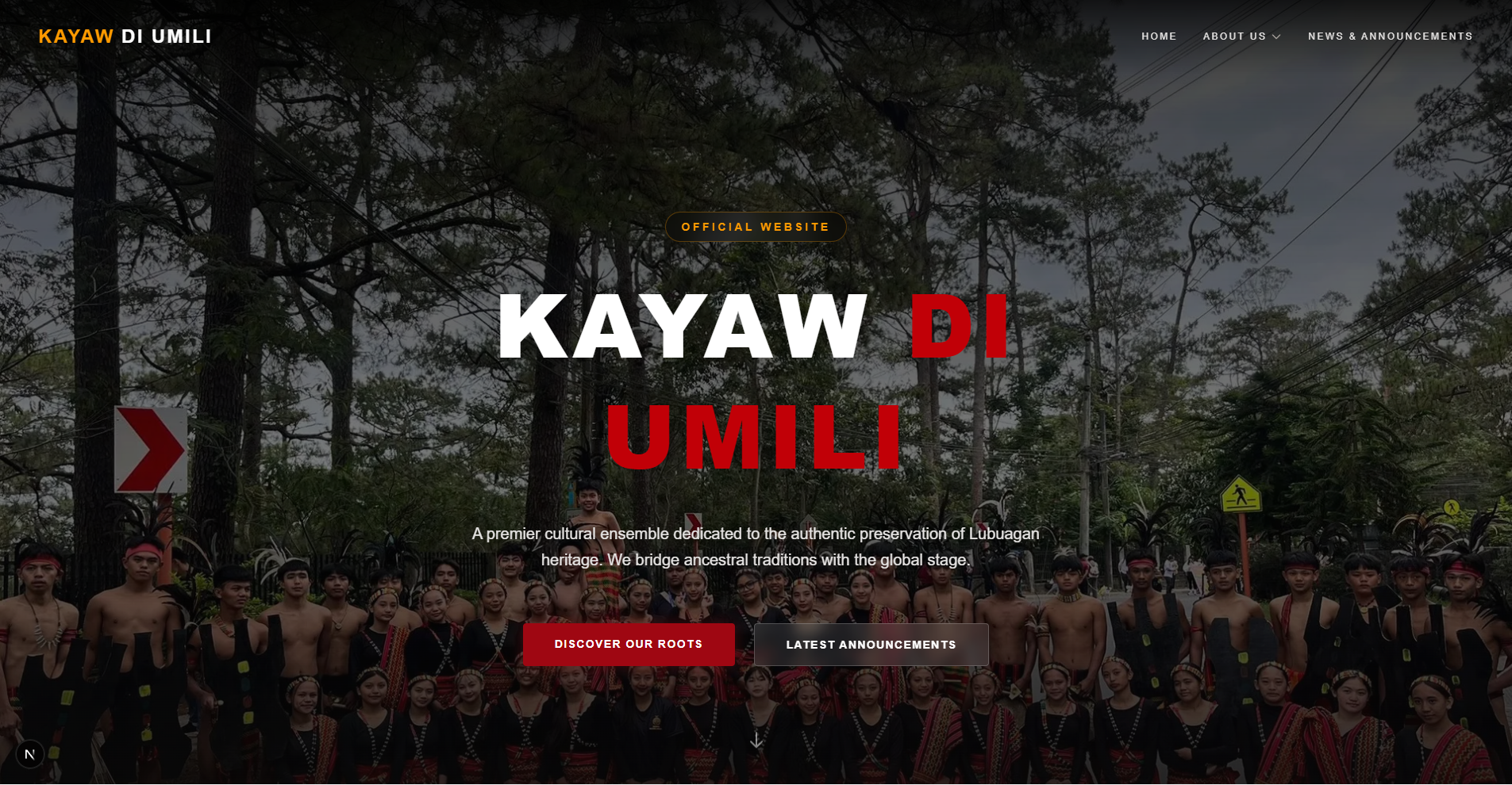 Official Website Launch